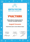 Диплом участника конкурса " Россия глазами ребенка"